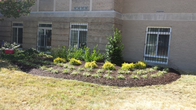 Landscaping & Lawn Care in Hampton Roads, Virginia