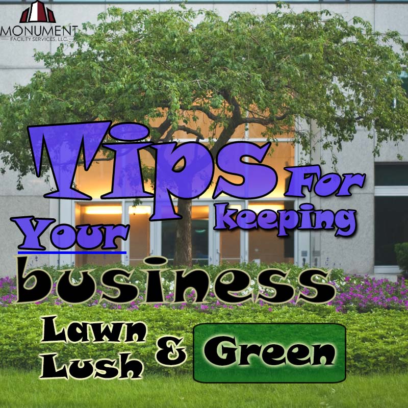 Landscaping & Lawn Care: Tips for Keeping Your Business’ Lawn Lush and Green