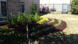 Landscaping & Lawn Care