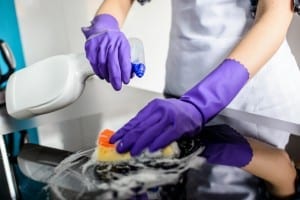 Professional Cleaning Services