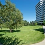 Office Lawn Care in Washington, D.C.