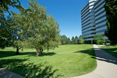 Office Lawn Care in Virginia