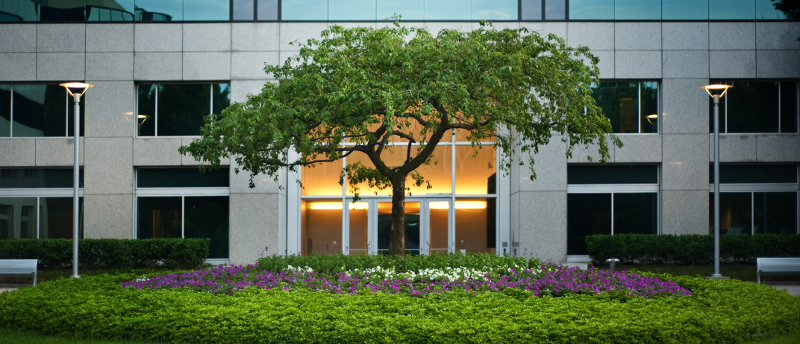 How Quality Landscape Maintenance Helps Your Business Stay Green