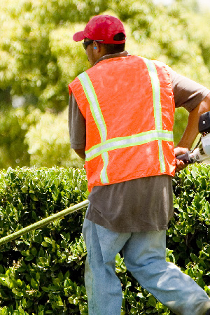 “I Don’t Mind Mowing!” and Other Excuses You Should Ignore When Hiring Lawn Care Services