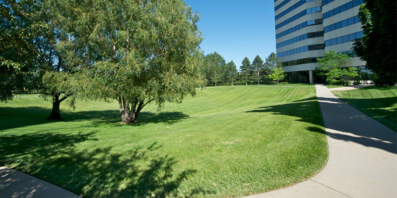 Office Landscaping in Chesapeake Bay, Virginia