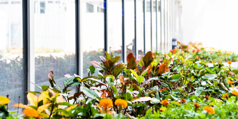 office landscaping is a great investment that has many long-term benefits