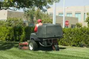 professional lawn care services charge for labor