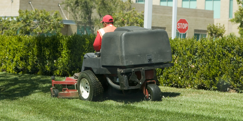 professional lawn care services charge for labor
