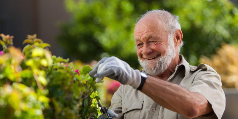 landscape maintenance can make more work