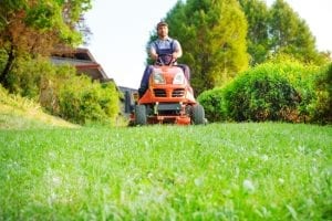 lawn care tips help you keep your lawn looking its best year round