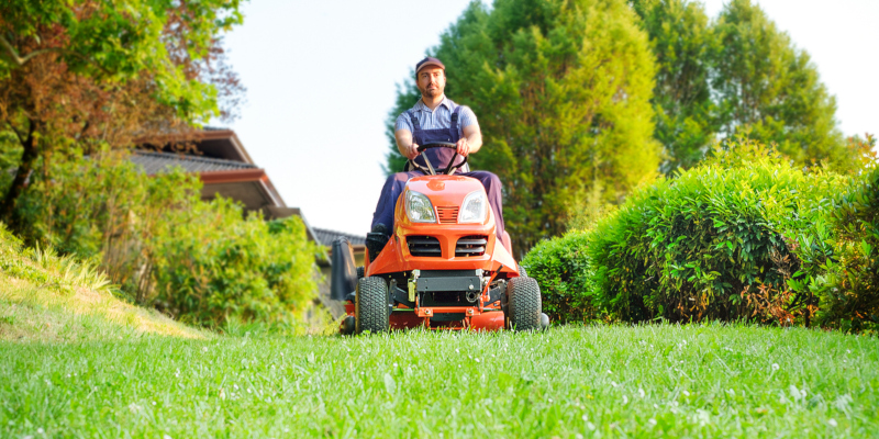 lawn care tips help you keep your lawn looking its best year round