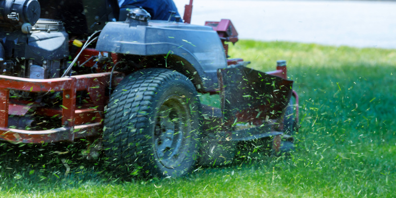 Lawn Care Services in Maryland