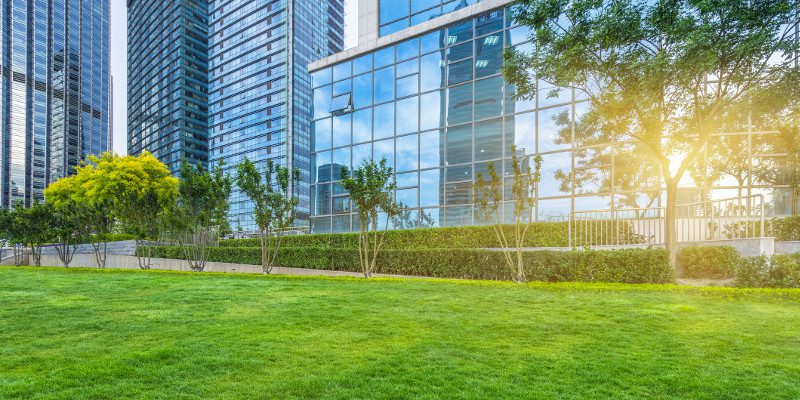 Office Lawn Care in Maryland