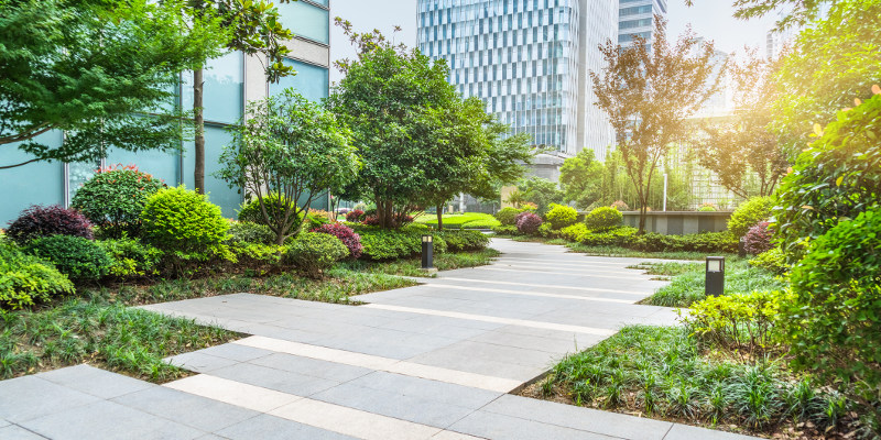 Office Landscaping in Maryland