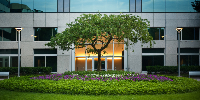 make your office landscaping dreams a reality