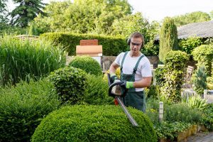 Why You Should Outsource Your Ground Care to a Professional