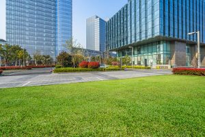 Why Landscaping and Lawn Care is Important for Your Business