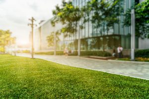 What to Look for in a Lawn Maintenance Company