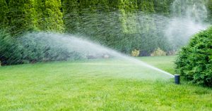 Four Summer Landscape Maintenance Tips to Keep Your Property Refreshed